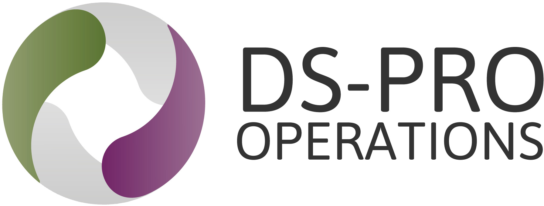Primary Raster logo